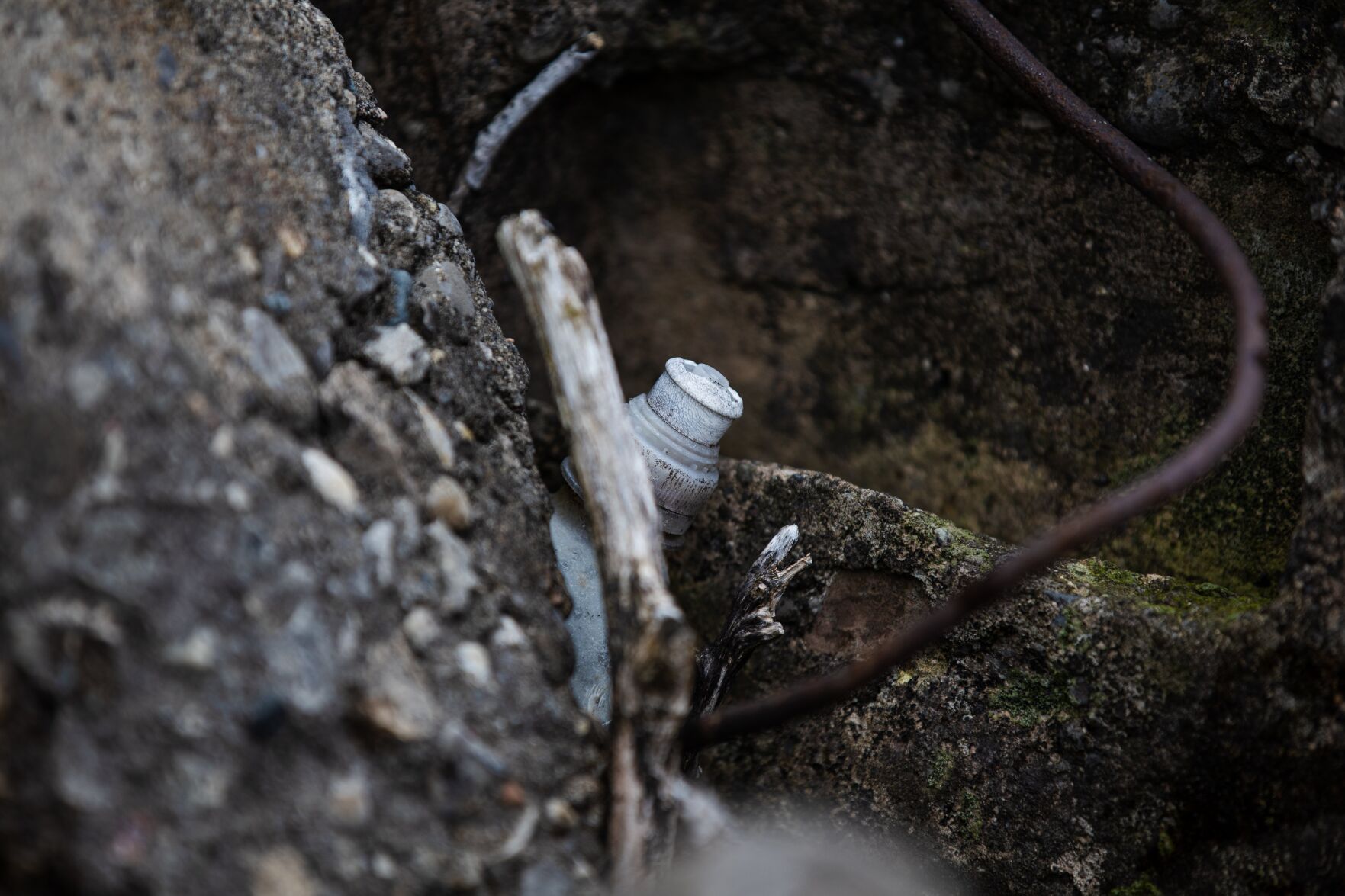ci-shore-clean-may31.JPG